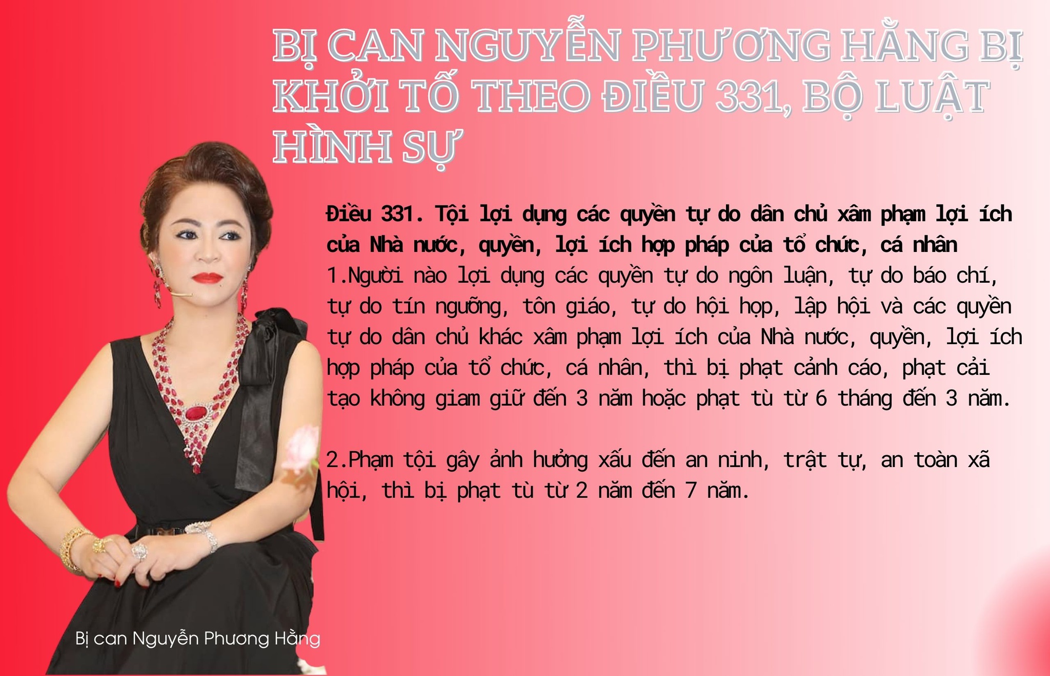 Bà Nguyễn Phương Hằng bị khởi tố, bắt tạm giam - ảnh 1